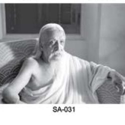 Sri Aurobindo SA-031